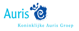 Auris groep